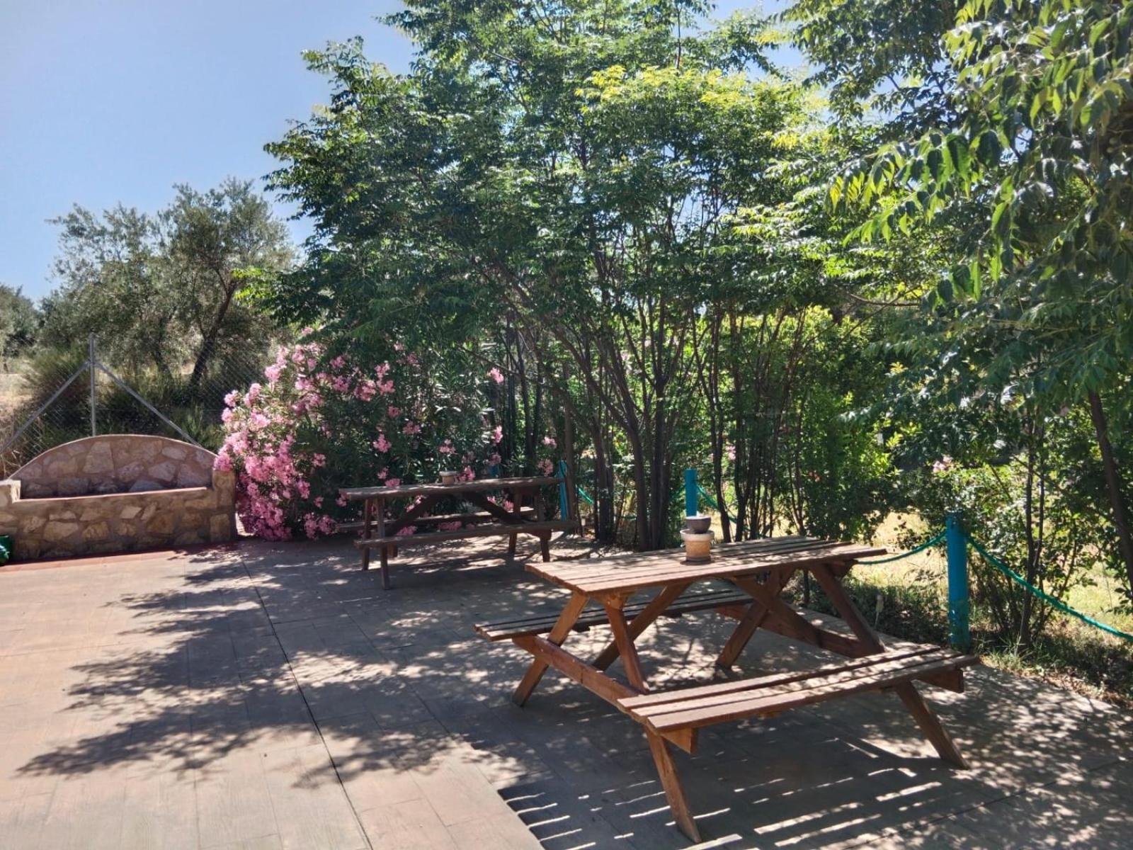 Casita Vista Alegre Apartment Castril Ngoại thất bức ảnh